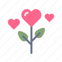 valentine, heart, love, flower, plant
