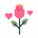 valentine, heart, love, rose, flower
