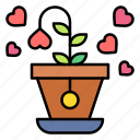 flower, pot, grow, heart, romance, valentines, day