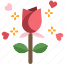 flower, gift, heart, nature, romantic, rose, valentine