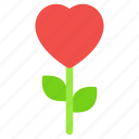 love plant, love growth, potted plant, valentine plant, plantation 