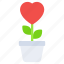 love plant, love growth, potted plant, valentine plant, plantation 