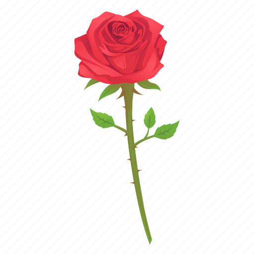 Holiday, valentines, flower, rose, love, heart, romantic icon - Download on Iconfinder