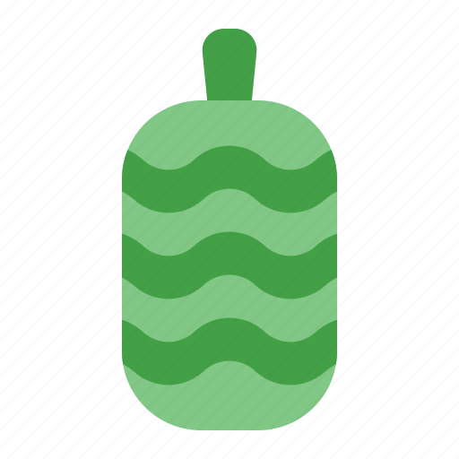 Vegan, watermelon icon - Download on Iconfinder
