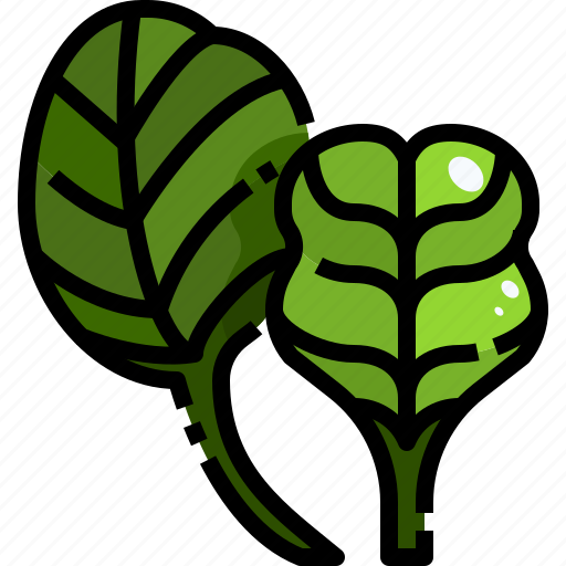 Diet, food, healthy, nature, spinach, vegan, vegetable icon - Download on Iconfinder