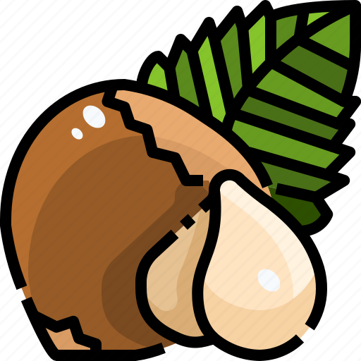 Hazelnut, natural, nut, nuts, organic, seed, seeds icon - Download on Iconfinder