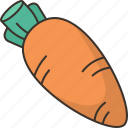 carrot, vegetable, food, ingredient, nutrition