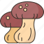 mushroom, edible, cuisine, ingredient, fungus 