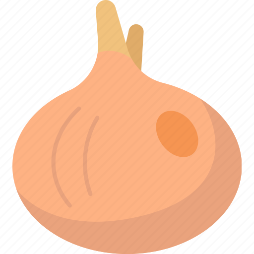 Onion, bulb, vegetable, ingredient, nutrition icon - Download on Iconfinder