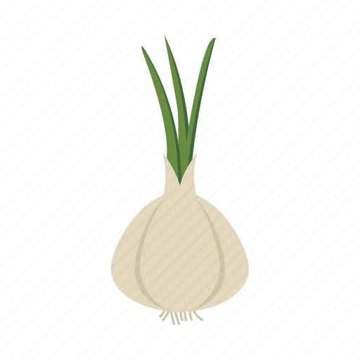 Food, leaf, onion, plant, vegetable, vitamin icon - Download on Iconfinder