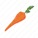 carrot, food, health, root, seeds, vegetable, vitamin