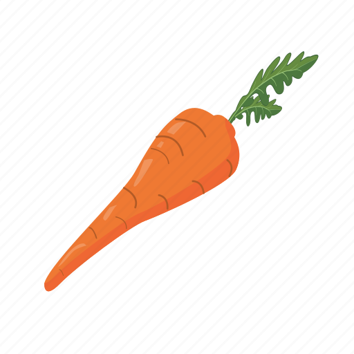 Carrot, food, health, root, seeds, vegetable, vitamin icon - Download on Iconfinder