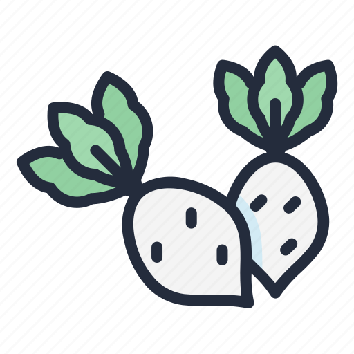 Radish, vegetable, food, healthy icon - Download on Iconfinder