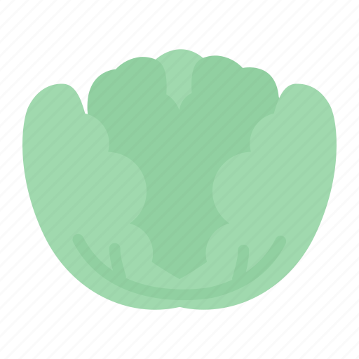 Cabbage, vegetable, food, healthy icon - Download on Iconfinder