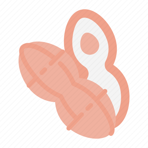 Peanuts, vegetable, food, healthy, peanut icon - Download on Iconfinder
