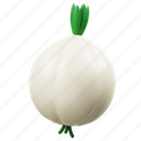 white, onion, 3d, icon, vegetable, healthy, food, cooking 