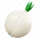 white, onion, 3d, icon, vegetable, healthy, food 