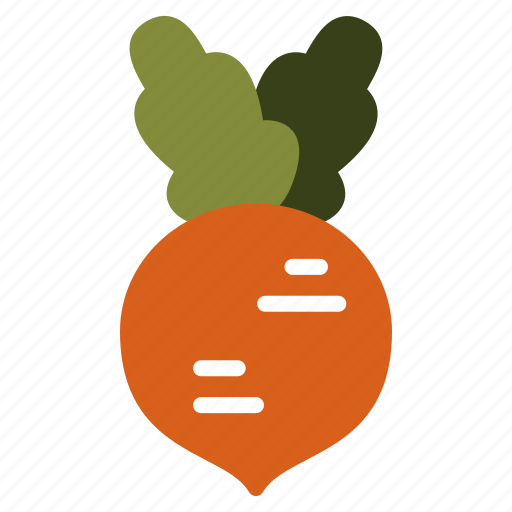 Radish, root, vegetables, vegetable, beet, kitchen, turnip icon - Download on Iconfinder