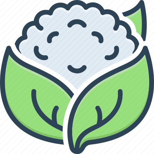 Calories, cauliflower, cooking, delicious, fresh, healthy, vegetable icon - Download on Iconfinder