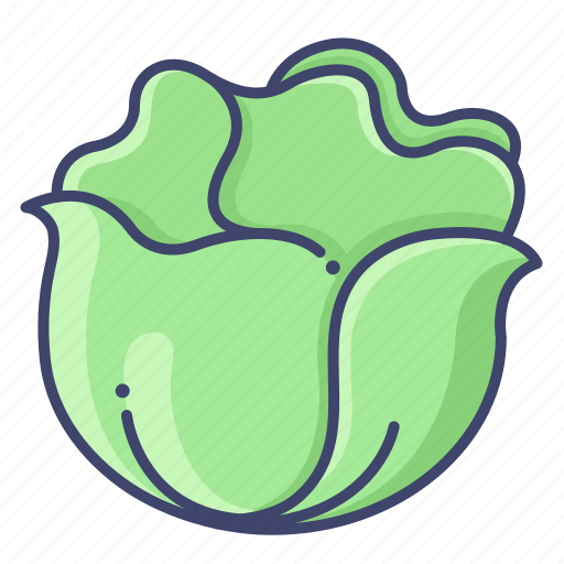 Cabbage, lettuce, vegetable icon - Download on Iconfinder