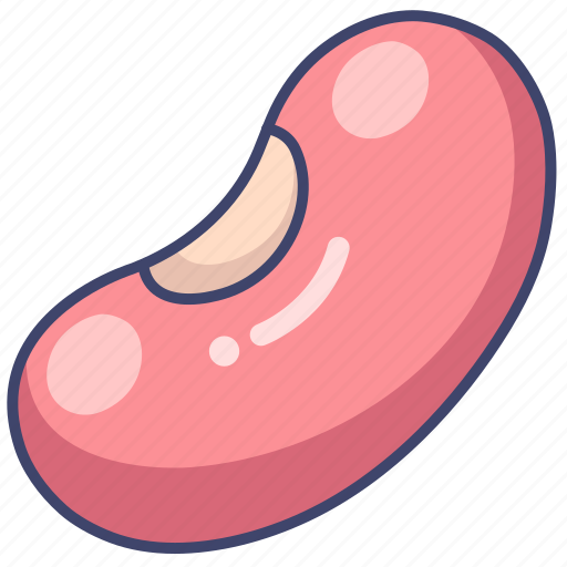 Bean, beans, vegetable icon - Download on Iconfinder