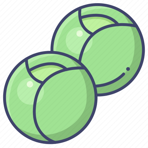Brussels, sprouts, vegetable icon - Download on Iconfinder