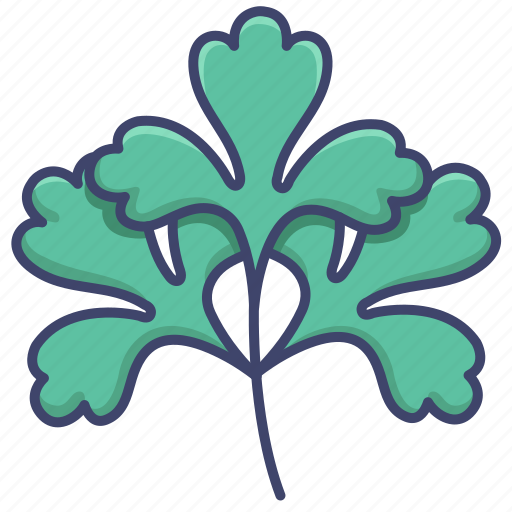 Coriander, herb, leaf, parsley icon - Download on Iconfinder