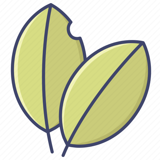 Bay, herb, leaf, spice icon - Download on Iconfinder
