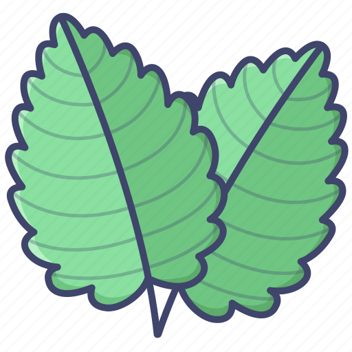 Herb, leaf, menthol, mint icon - Download on Iconfinder
