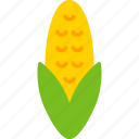 corn, food, agriculture, healthy, organic