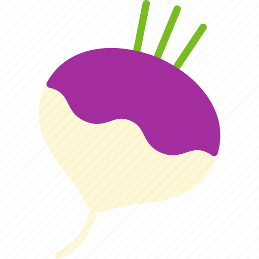 Turnip, vegetable, food, healthy icon - Download on Iconfinder