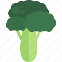broccoli, food, green, vegetables 
