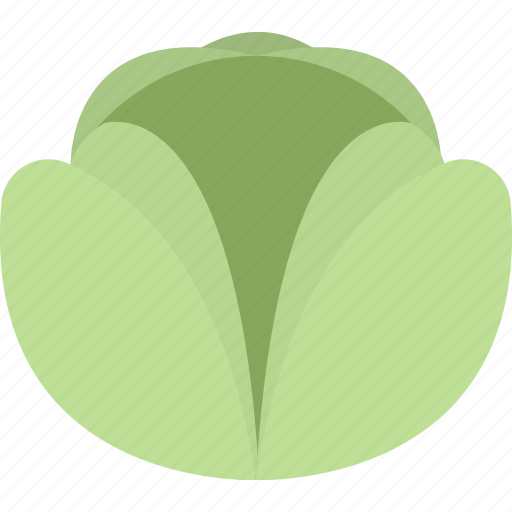 Cabbage, food, garden, vegetables icon - Download on Iconfinder