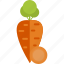 carrot, food, sheet, vegetables 