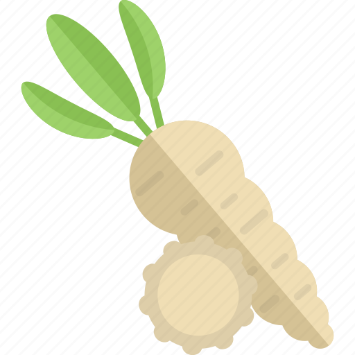 Food, garden, horseradish, vegetables icon - Download on Iconfinder