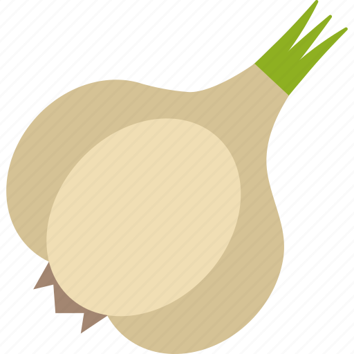 Food, onion, seed, vegetables icon - Download on Iconfinder