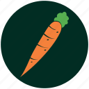 carrot, fresh, salad, food, healthy, vegetables, vegetable