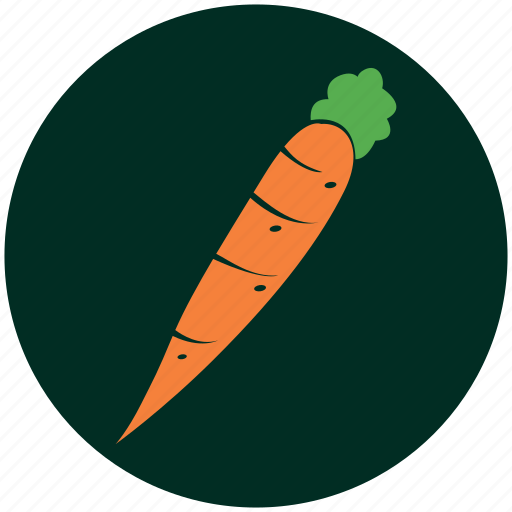 Carrot, fresh, salad, food, healthy, vegetables, vegetable icon - Download on Iconfinder