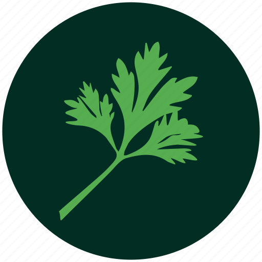 Coriander, curry leaves, herb, leaves, leaf, plant, organic icon - Download on Iconfinder