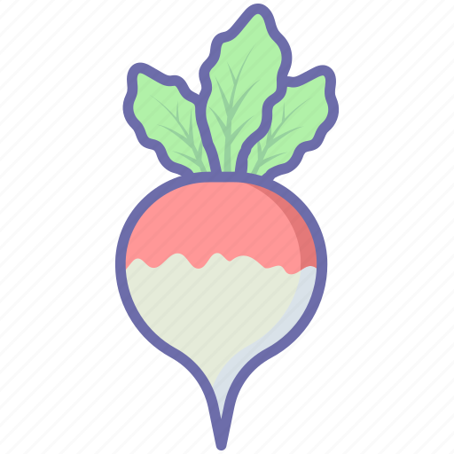 Food, turnip, vegetable, vegetables icon - Download on Iconfinder