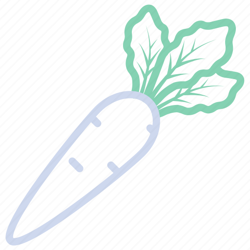 Food, parsnip, radish, vegetable, vegetables icon - Download on Iconfinder