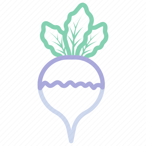 Food, radish, turnip, vegetable, vegetables icon - Download on Iconfinder