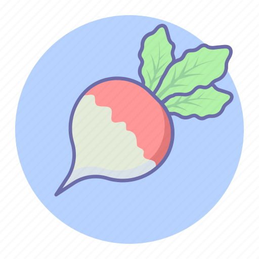 Food, radish, turnip, vegetable, vegetables icon - Download on Iconfinder