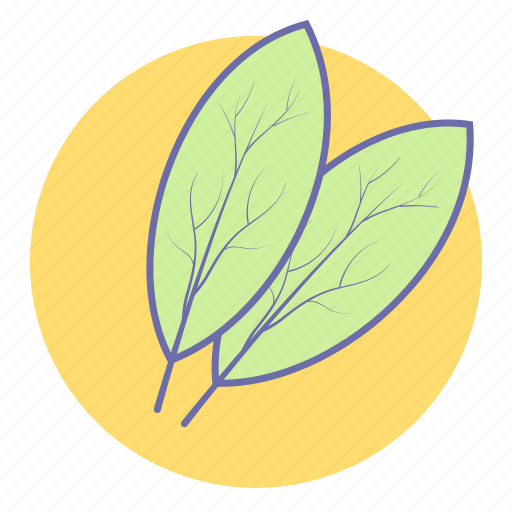 Bay leaf, curry leaf, food, herb, vegetable icon - Download on Iconfinder