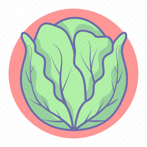 Cabbage, food, salad, vegetable, vegetables icon - Download on Iconfinder