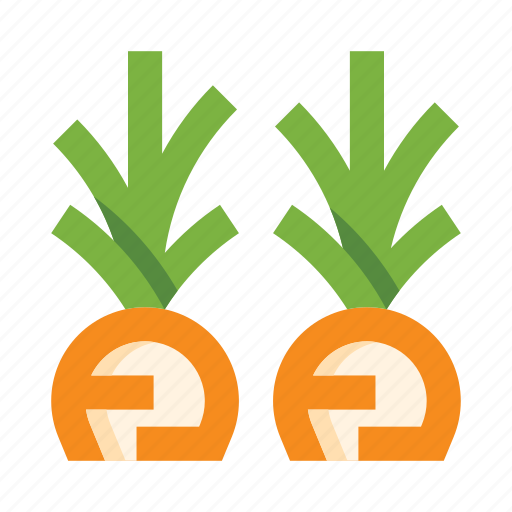 Carrot, vegetable, garden, food, veggie, farm, farming icon - Download on Iconfinder