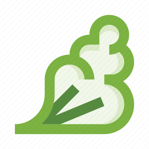 Vegetables, salad, lettuce, leaf, organic, fresh, eco icon - Download on Iconfinder