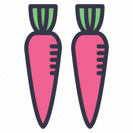 Seasonal, food, spring, vegetables, carrots, carrot, root icon - Download on Iconfinder