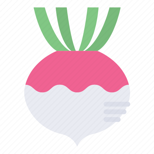 Seasonal, food, vegetables, fruits, turnip, radish, roots icon - Download on Iconfinder