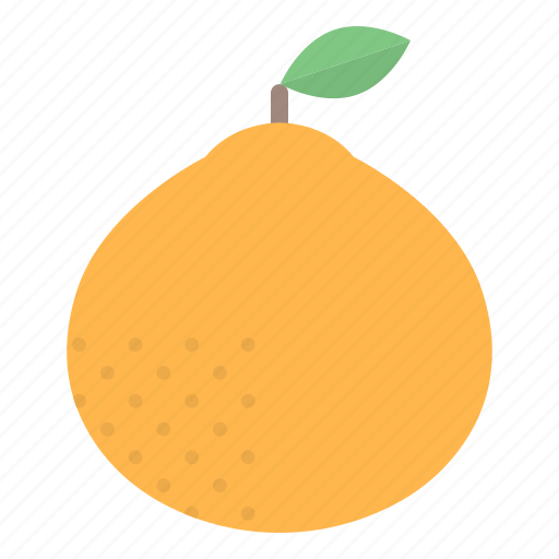 Winter, seasonal, food, fruits, bloodorange, orange, citrus icon - Download on Iconfinder